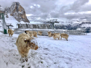 Le Dolomiti 2018 Primo Capitolo Col Rodella