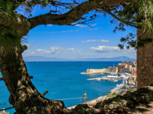 Il porto incorniciato dall'albero