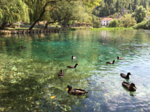 Lago di Posta Fibreno