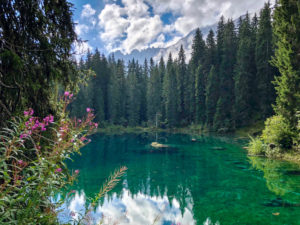 Il Lago di Carezza