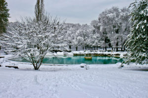 Roma E La Neve Lago Di Villa Borghese