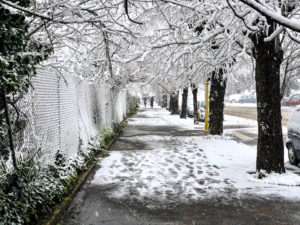 26/02/2018 - Viale Marconi