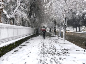 26/02/2018 - Viale Marconi