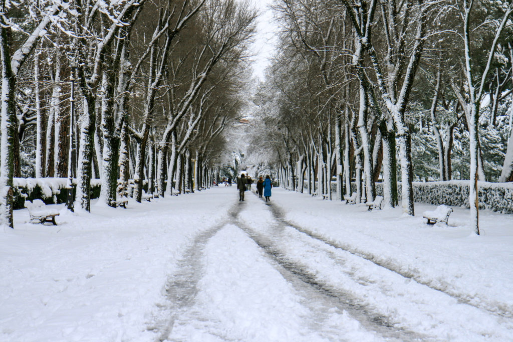 04/02/2012 - Villa Borghese