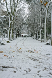 04/02/2012 - Villa Borghese