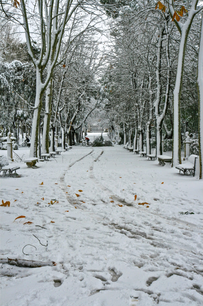 04/02/2012 - Villa Borghese