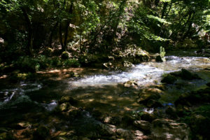 Le Cascate Del Laghetto Di San Benedetto