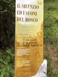 I suoni del bosco