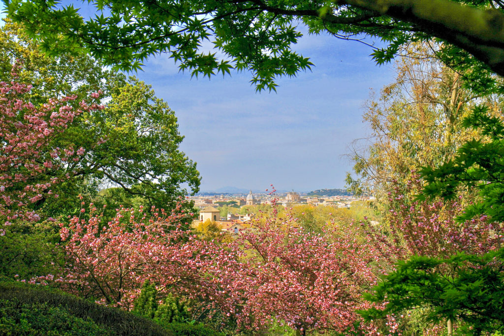 Orto Botanico - La gioia della Primavera