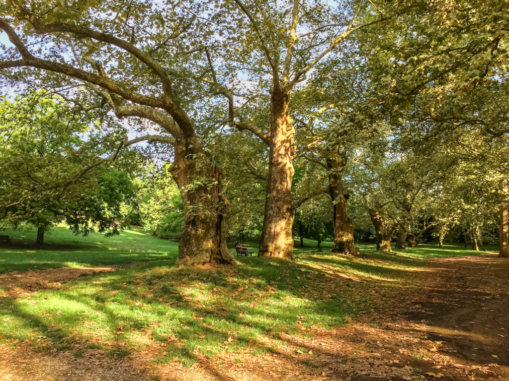 Villa Borghese