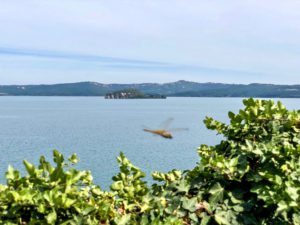 Lago di Bolsena da Capodimonte