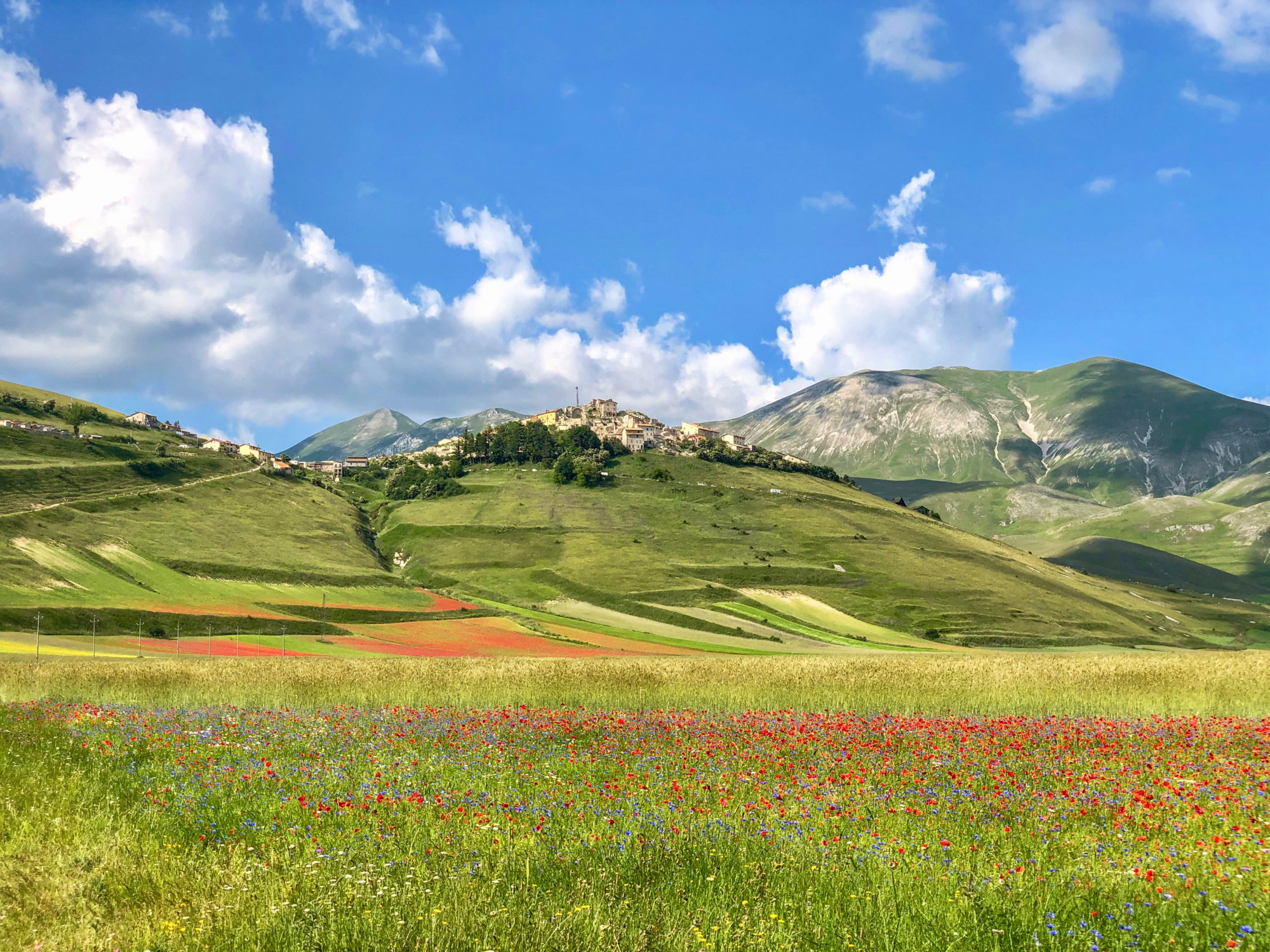 Castelluccio di Norcia