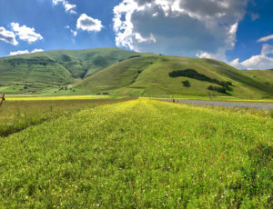 Castelluccio di Norcia