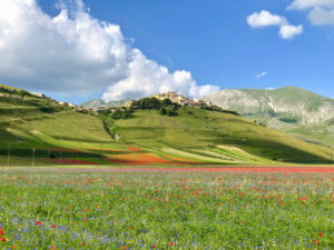 Castelluccio di Norcia