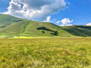 Castelluccio di Norcia