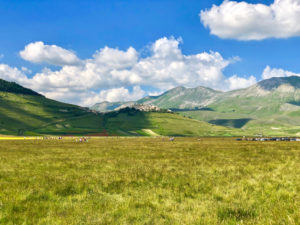 Castelluccio di Norcia