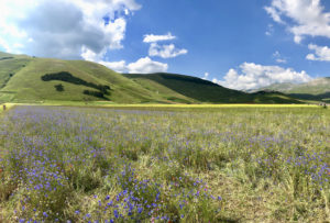 Castelluccio di Norcia