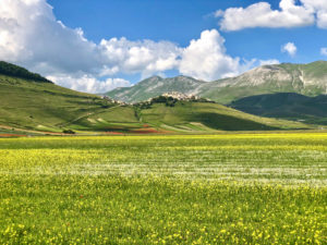 Castelluccio di Norcia