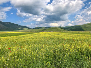 Castelluccio di Norcia