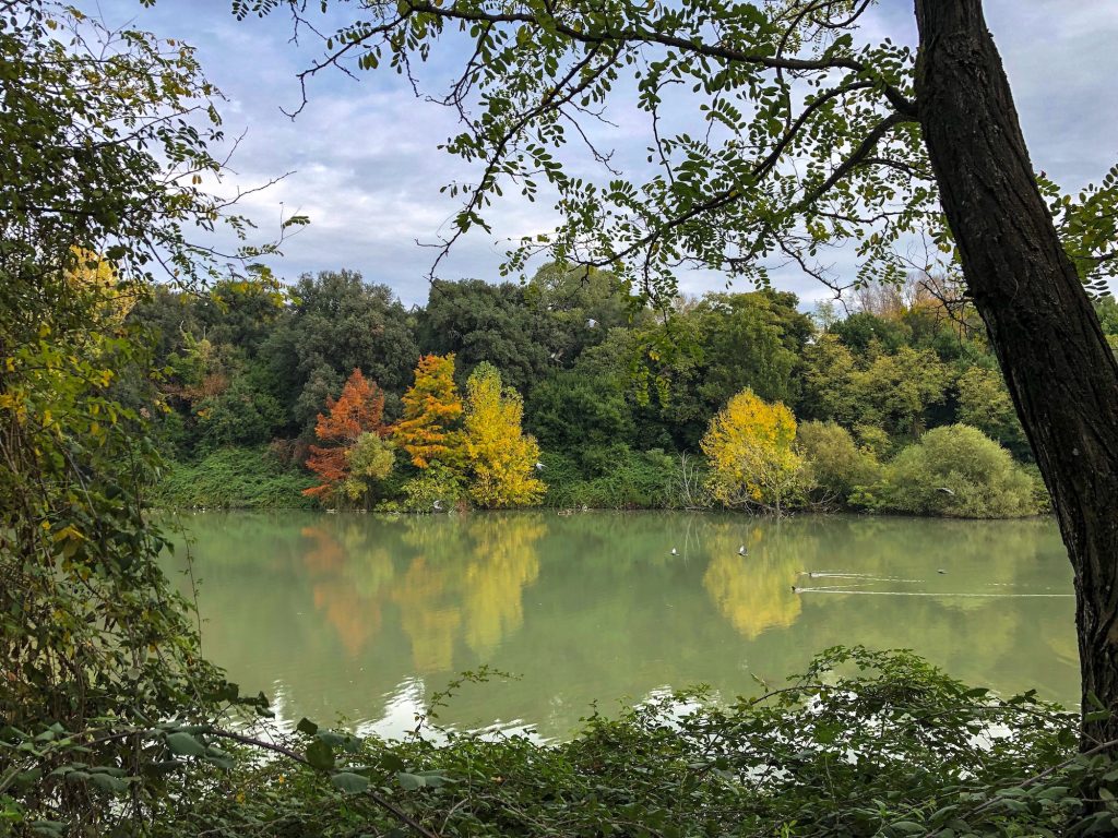 Lago d'autunno