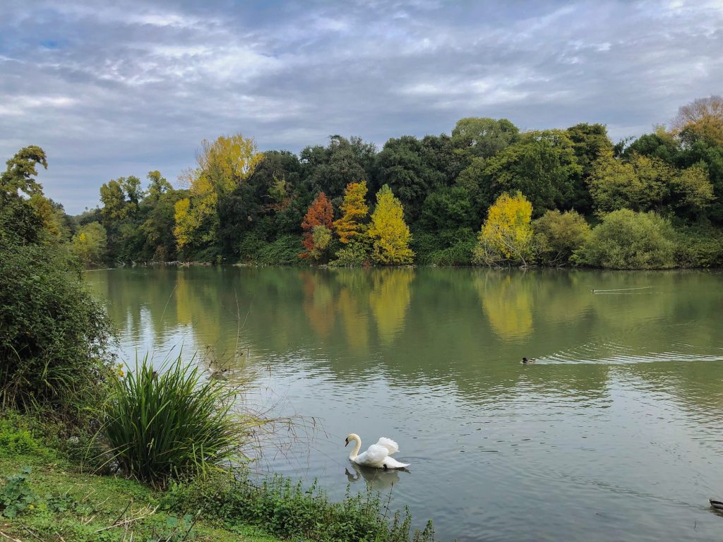 Lago d'autunno