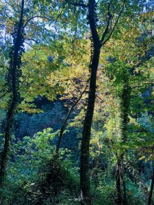 Cascate-di-San-Vittorino-San-Gregorio-Da-Sassola