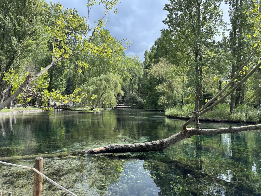 Fonti del Clitunno