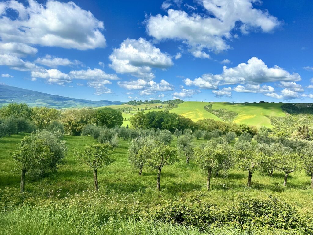 Val d'Orcia