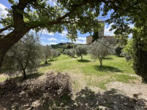 Abbazia di Sant'Antimo