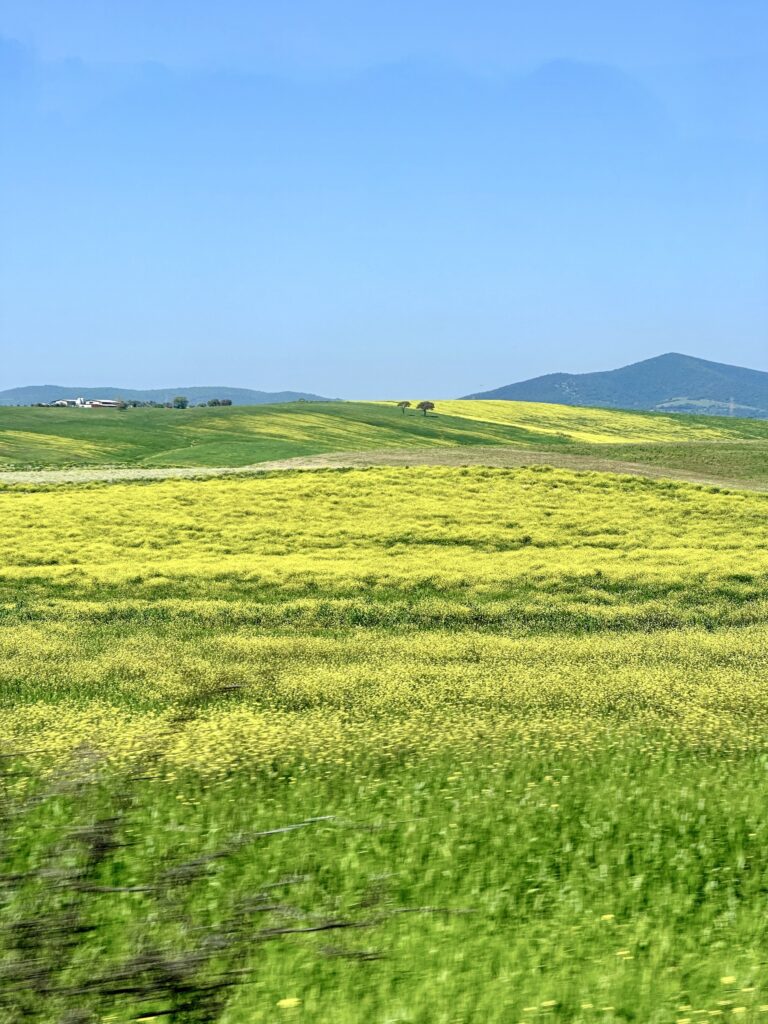 Verde nel lazio