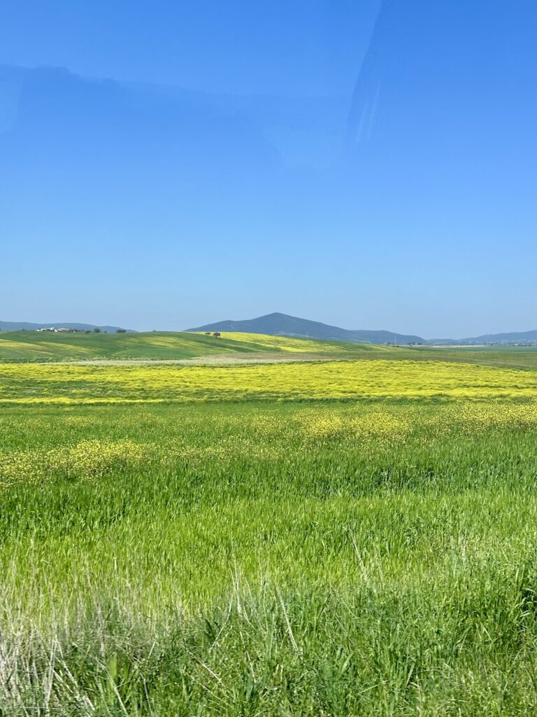 Verde nel lazio